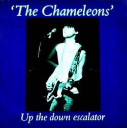 The Chameleons : Up the Down Escalator